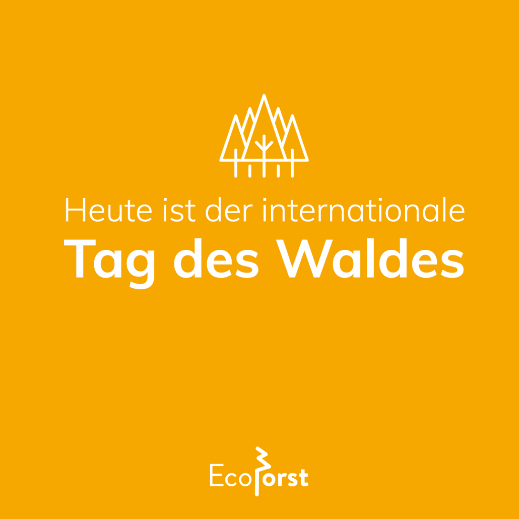Tag des Waldes