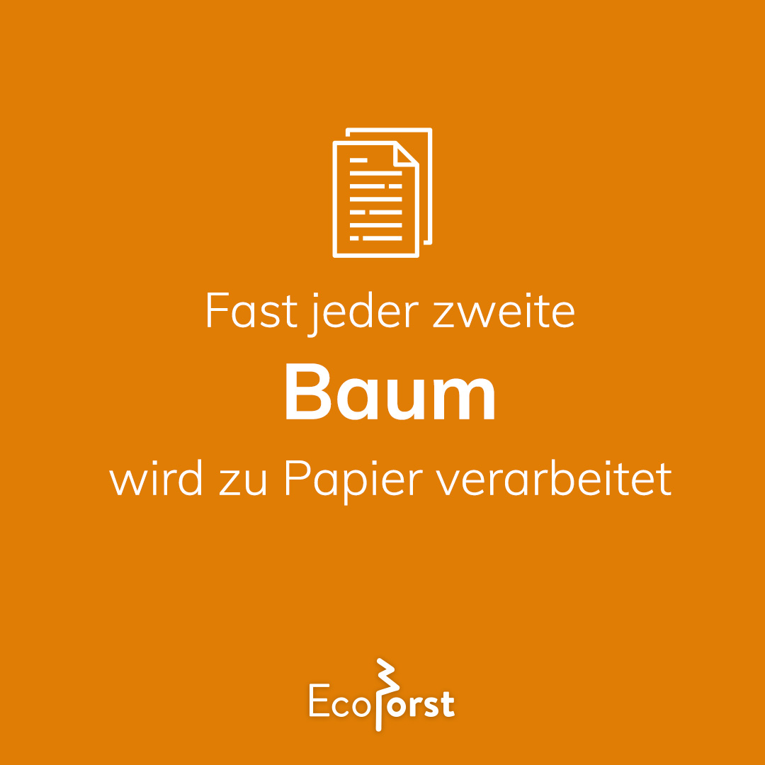 EF_Jeder-zweite-Baum